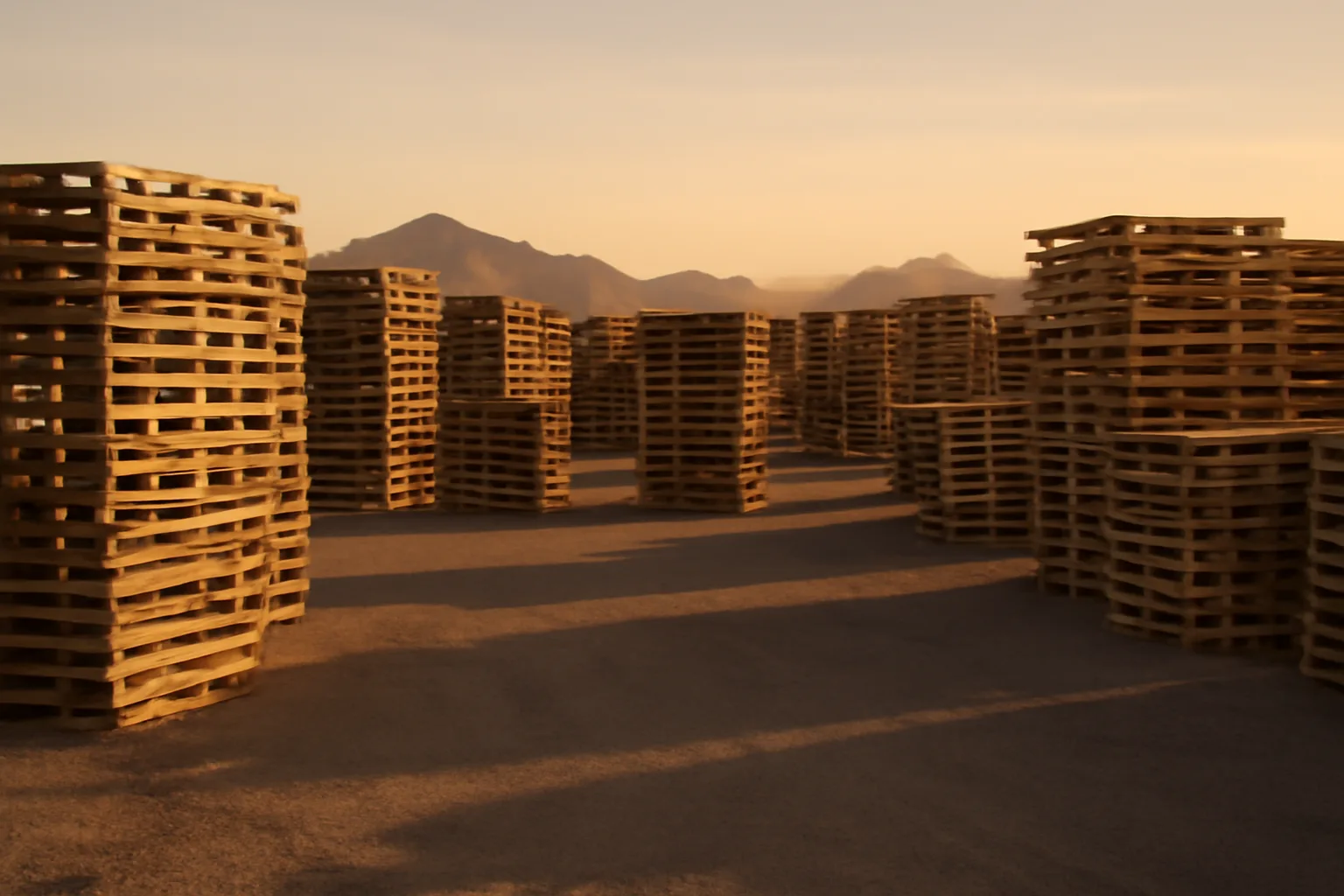 Rows of stacked wooden pallets in an Arizona desert pallet yard at golden hour